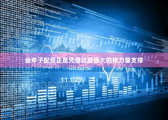 金斧子配资正是凭借这股强大的核力量支撑