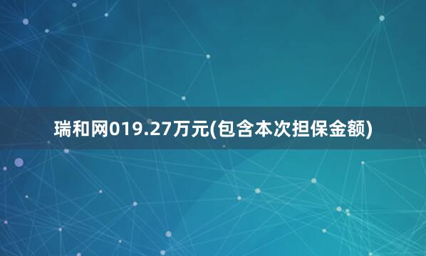 瑞和网019.27万元(包含本次担保金额)