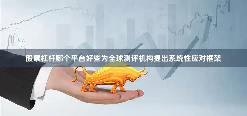 股票杠杆哪个平台好些为全球测评机构提出系统性应对框架